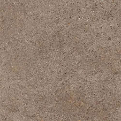 Roman dWellington Savanna TGT605752CR 60x60 (tebal 2cm)